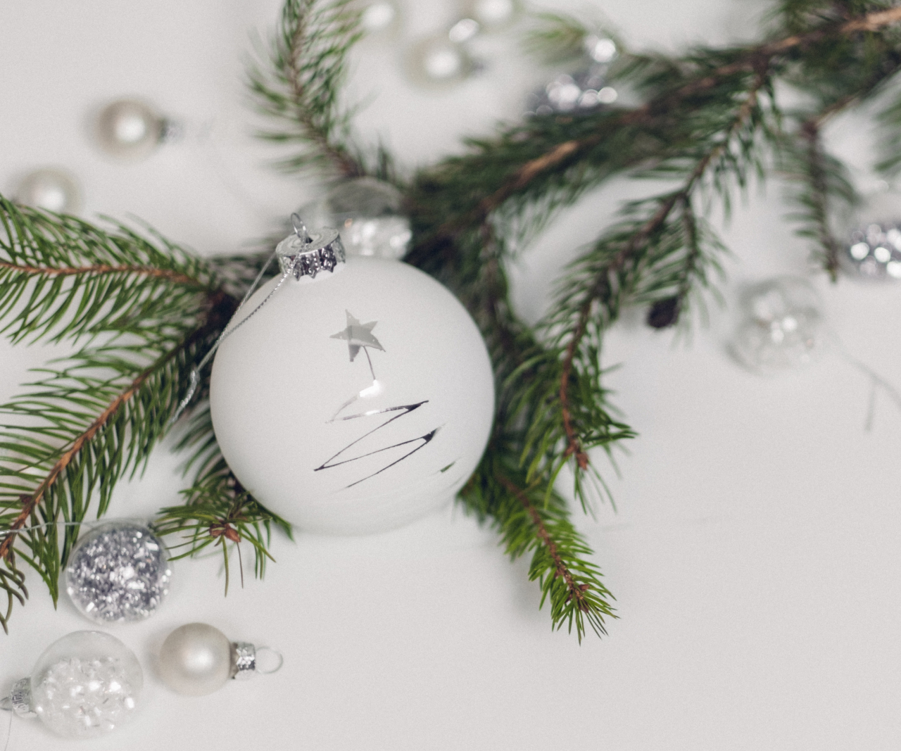 Christmas ornament on a branch.