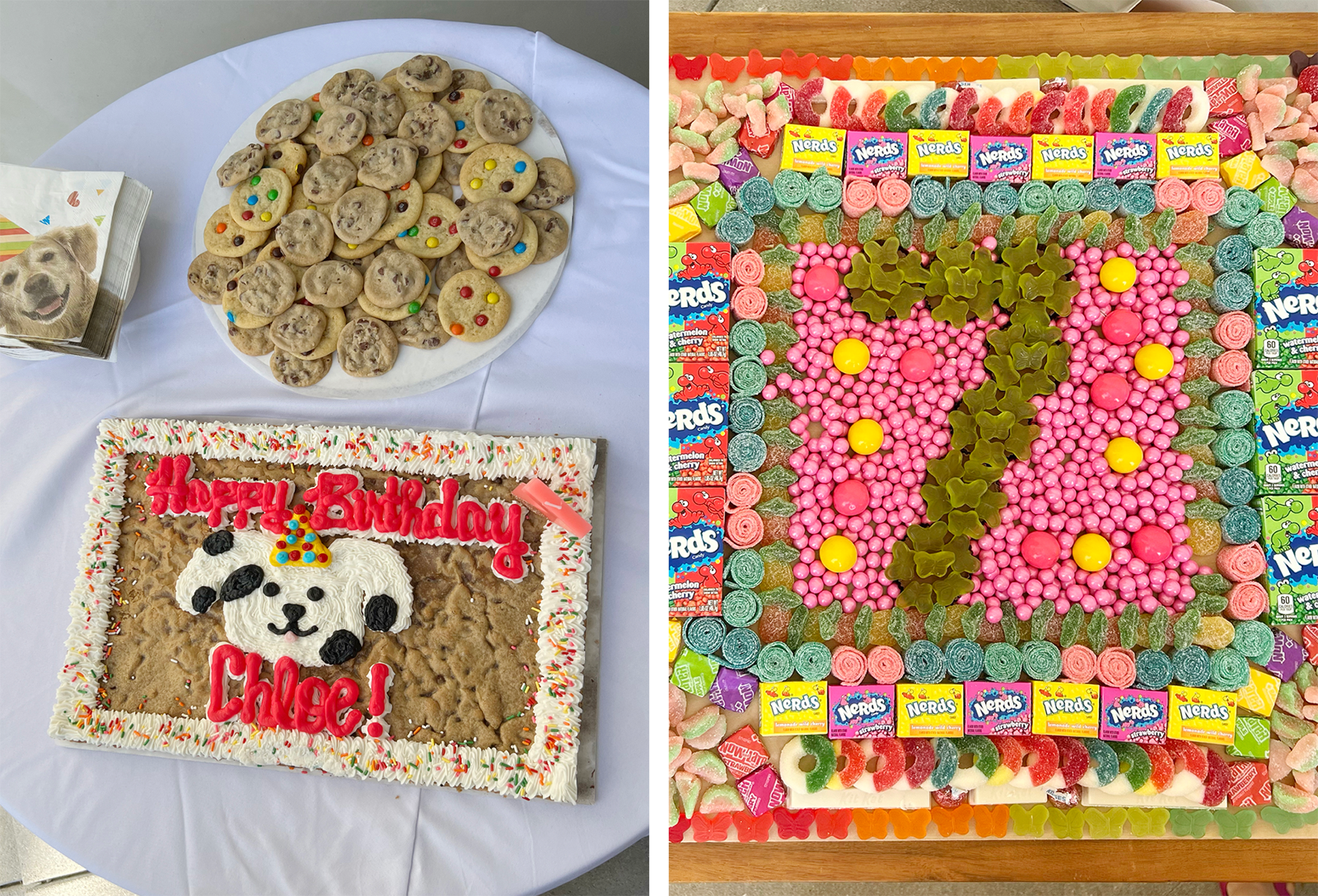 Plate of cookies with a puppy-themed cookie cake next to a candy platter.l