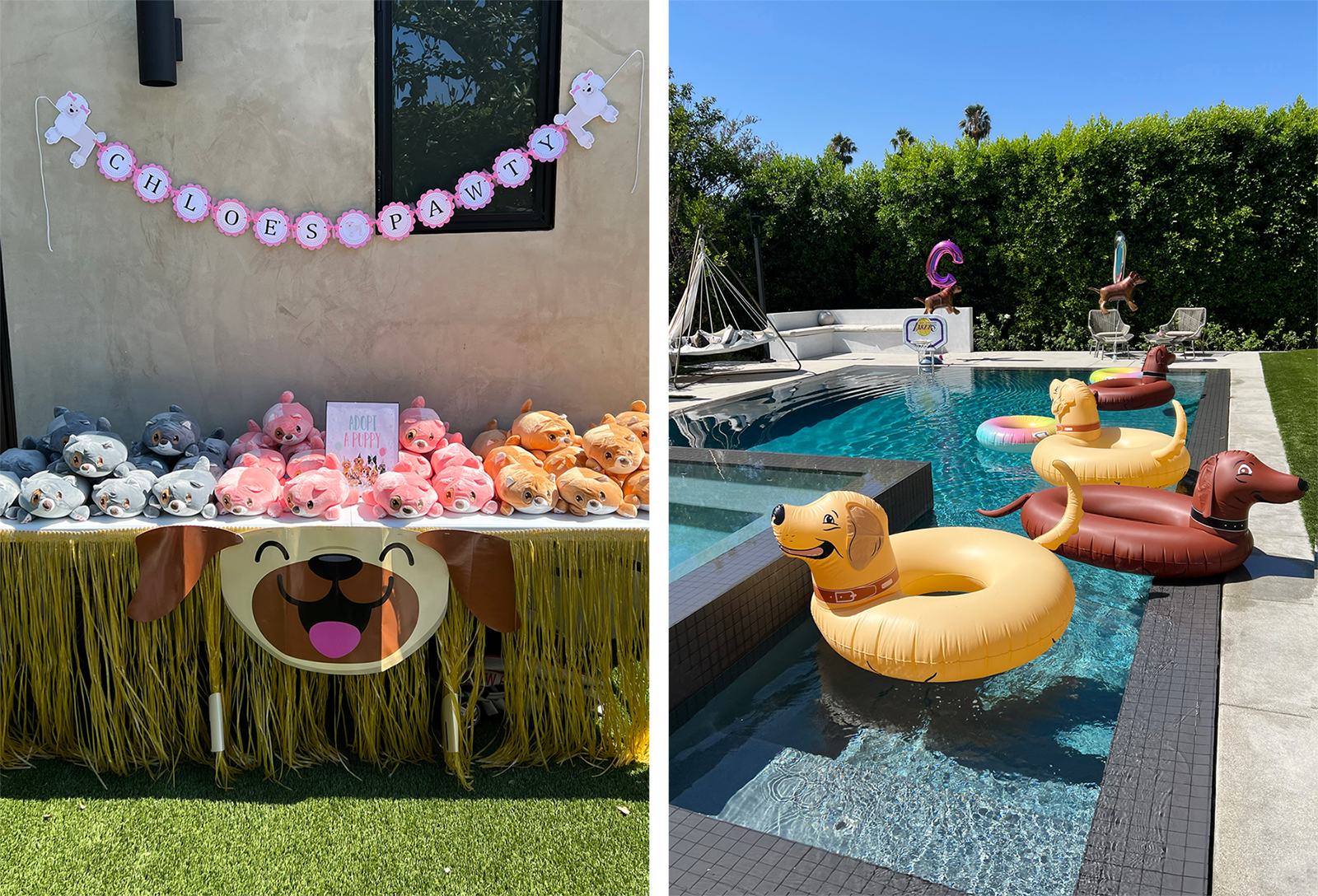 Table covered in plush puppies and a pool filled with dog pool floaties.