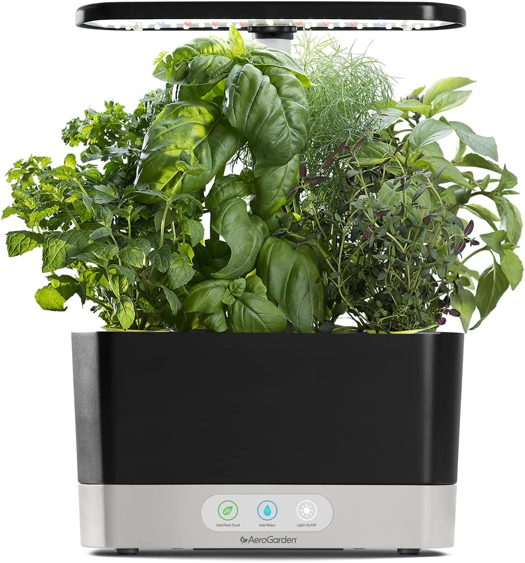 Hydroponic indoor garden.