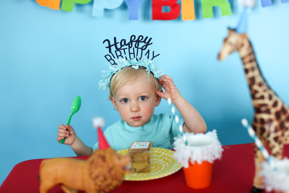 Babies 1st Birthday Party Guide