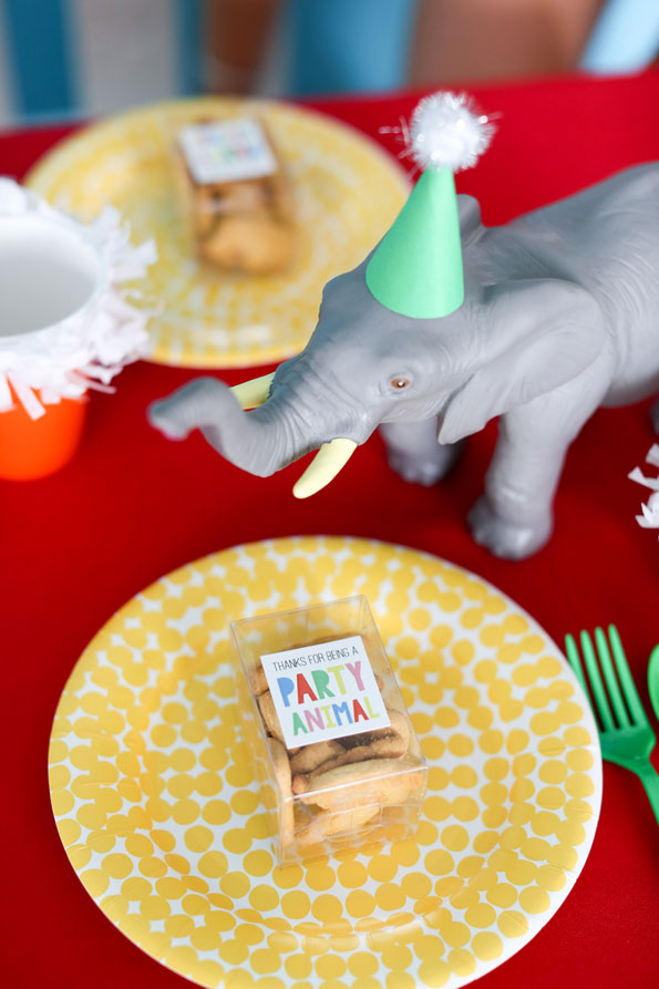 Babies 1st Birthday Party Guide