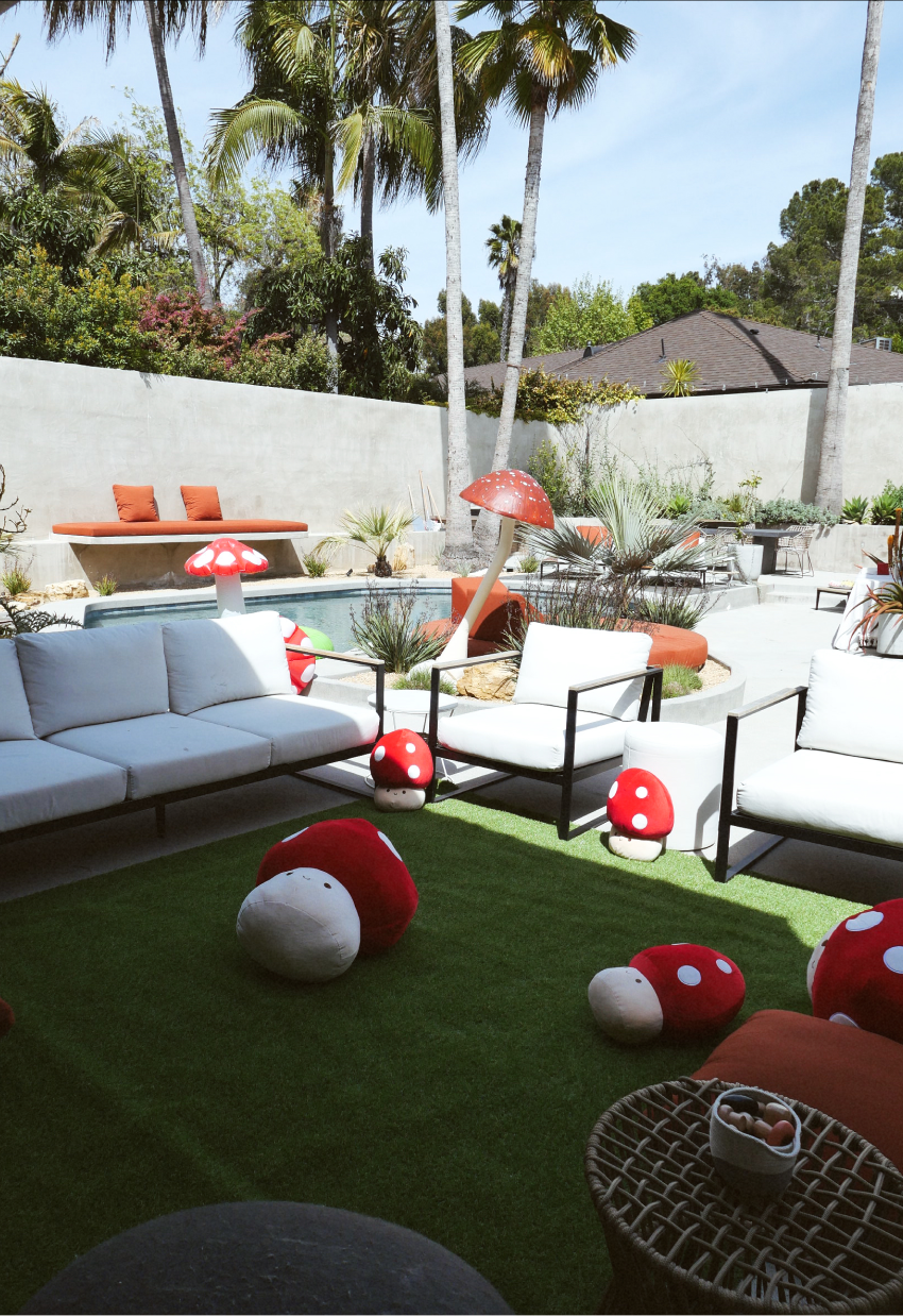 Image of the host's backyard with mushroom plushies scattered on the ground.